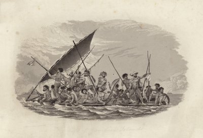 Flotte, Gambieröarna av French School