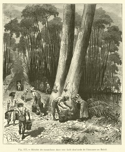 Skördar gummi i en skog på Amazonas strand i Brasilien av French School