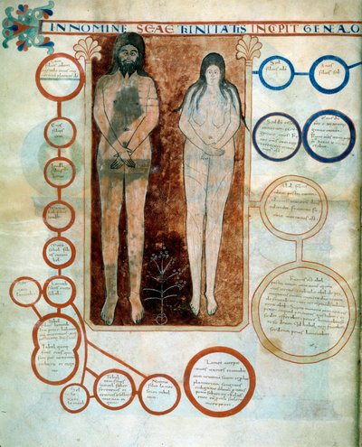 Representation av Adam och Eva, de röda medaljongerna representerar Kains linje, förstörd av Deluge Miniature som illustrerar kommentarerna till "Apokalypsen enligt Saint John" skriven 775 av munken Beatus de Liebana av French School
