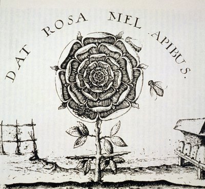 Rosicrucian Allegory, kopia av en gravyr av Johann Theodore de Bry (ca 1598), använd i en magihistoria, publicerad i slutet av 1800-talet av French School
