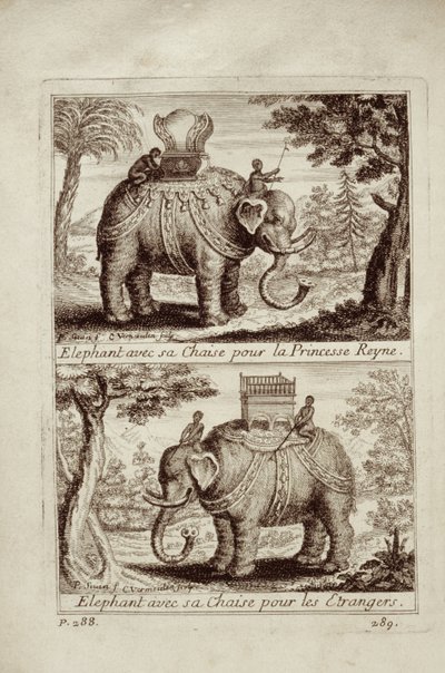 Kungliga elefanter, från Voyage du Siam des Peres Jesuites av Guy Tachard, 1688 av French School