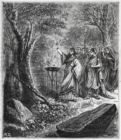 STRUFERTARI (fest i det antika Rom för att rena de sprängda träden) - Gravering i "" Vetenskaper som kommit till alla - populär fysik och kemi"" av Alexis Clerc - Slutet av 1800-talet. Privat samling. av French School