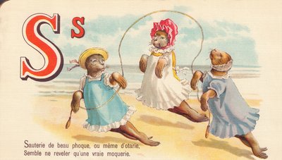 S: Sauté av vacker säl, eller till och med av sälar, verkar bara avslöja ett verkligt hån av French School