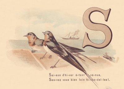 S: Vintersäsongen har kommit, Rädda dig själv långt borta svalor! av French School