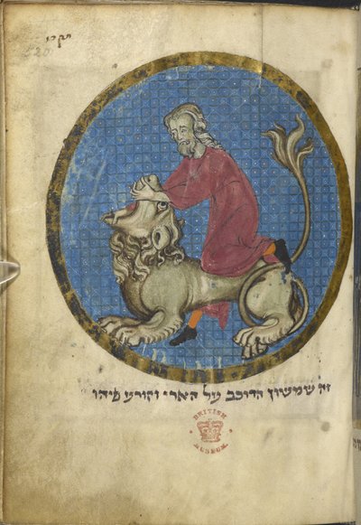 Simson och lejonet, från Nordfranska Miscellany, ca 1280 (vellum) av French School