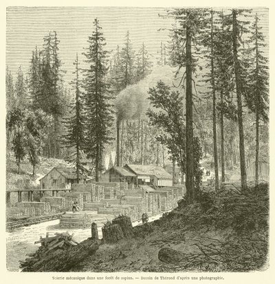 Mekaniskt sågverk i en granskog (gravyr) av French School