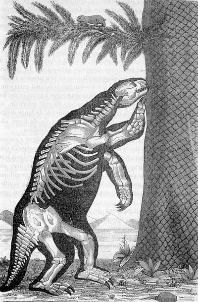 Skelett av megaterium - i "Världen före människans skapelse" av Camille Flammarion av French School