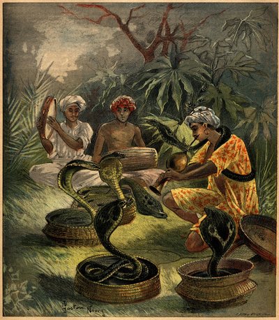 Ormtjusare (kobror) i Indien. Gravyr i "La Terre Illustree"" nr 94 av 18 augusti 1892. av French School