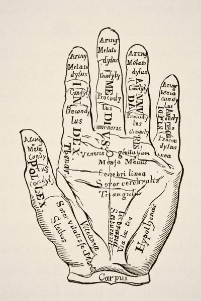 Exemplar av vänster hand med linjerna och deras horoskopiska valörer, från Science and Literature in The Middle Ages av Paul Lacroix pub. London 1878 av French School