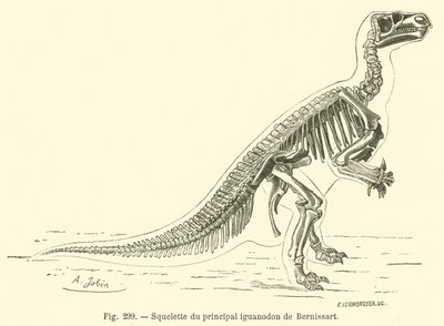 Skelett av Bernissarts huvudsakliga iguanodon (gravyr) av French School