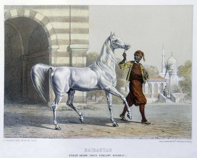 Stalon arabiska, Bairaktar av French School