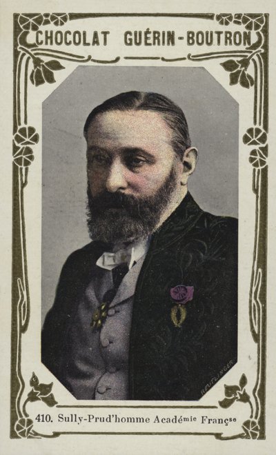Sully-Prudhomme, Franska Akademien (färgad bild) av French School