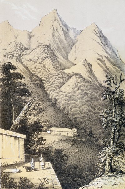 Teplantager i det gröna tedistriktet i Kina, hämtat från A Journey to the Tea Countries of China, publicerad första gången 1852, av Robert Fortune (1812-1880) av French School