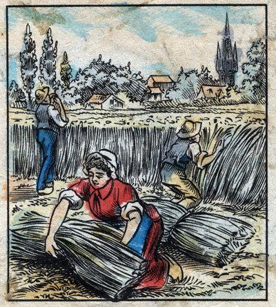 Textil, lin: jordbruk. Samlar linne som sätts ihop i en stövel för att torka. Gravyr. Epinal avbildning sent 1800-tal. av French School