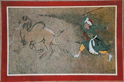 The Angry Camel Driver, illustration från "The Arabian Nights" av French School