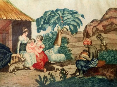The Childhood of Paul and Virginie, från 