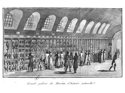 Det stora galleriet på Naturhistoriska museet i Paris av French School