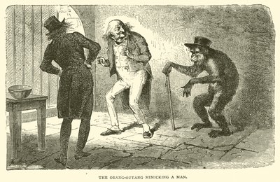 Orang-Outang som härmar en man (gravyr) av French School
