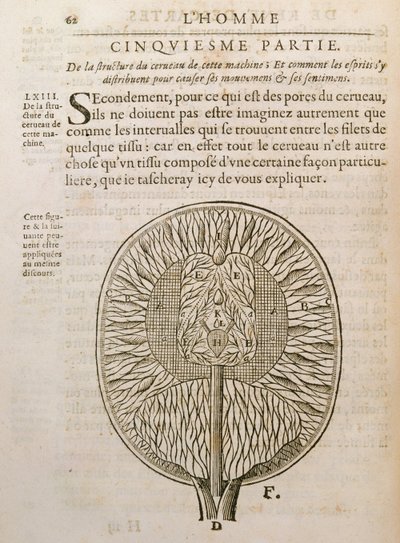 The Structure of the Brain, från De Homine Figuris av Rene Descartes (1596-1650) publicerad i Haag, 1662 av French School