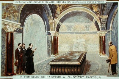 Louis Pasteurs (1822-95) grav i l