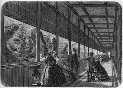 Akvariet i Paris acklimatiseringsträdgård 1863. av French School