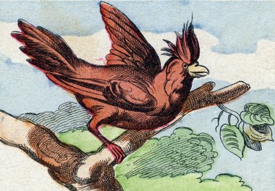 Kardinalen. Gravyr i "Buffon Alphabet des Oiseaux n 2". 3:e Serie N 2. Avbildning av Epinal, Epinal, sent 1800-tal. 16 sidor. Mått: 28x21cm av French School