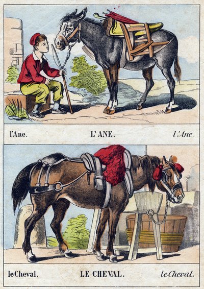 Åsnan och hästen. Gravyr i "Buffon Alphabet des Animaux". 3:e serien N 1. Avbildning av Epinal, Epinal, sent 1800-tal. 16 sidor. Mått: 28x21cm av French School