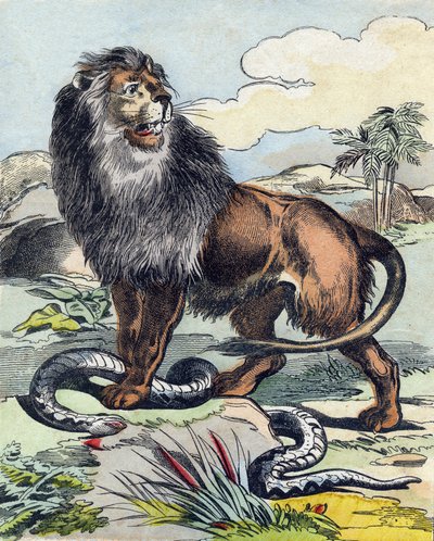 Lejonet. Gravyr i "Buffon Alphabet des Animaux". 3:e serien N 1. Avbildning av Epinal, Epinal, sent 1800-tal. 16 sidor. Mått: 28x21cm av French School