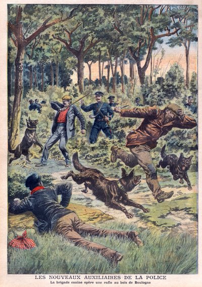 De nya polisens hjälporganisationer: hundbrigaden genomför en roundup vid Bois de Boulogne, illustration från "Le Petit Journal" den 28 juli av French School