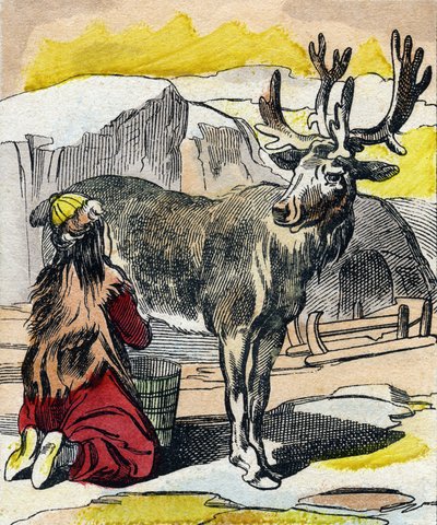 Renen som mjölkas. Gravyr i "Buffon Alphabet des Animaux". 3:e serien N 1. Avbildning av Epinal, Epinal, sent 1800-tal. 16 sidor. Mått: 28x21cm av French School