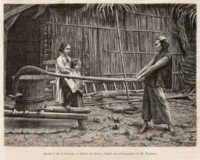 Riskvarnen, framför en bondes hus i Gocong, gravering efter en teckning av Robin som illustrerar resan till Cochinchine, av doktor Morice, 1872, publicerad i "" Le tour du monde""" 1875, redigerad av Edouard Charton, Hachette-upplagan, Paris. Selva av French School