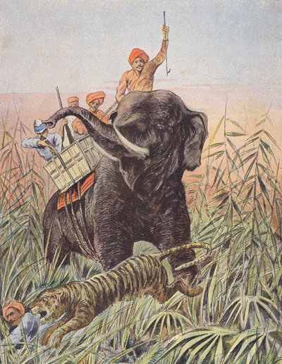 Tigerjakt, Indien (färglitografi) av French School