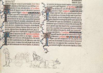 Transportera tillhörigheter i en oxdragen vagn, ofärdiga miniatyr från The Bible of Jean de Sy, ca 1355 av French School