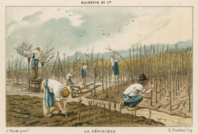 Träd plantskola av French School