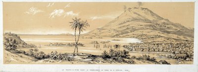 Utsikt över Pointe a Pitre (Pointe-a-Pitre) före jordbävningen. Gravyr från 1843. Chartres, Museum of Fine Arts av French School