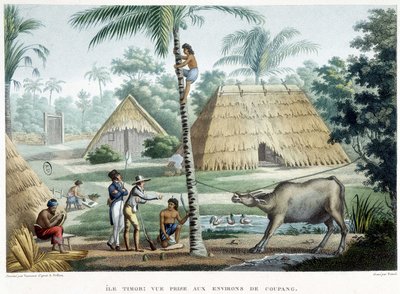Vy tagen i närheten av Coupang, ön Timor. av French School