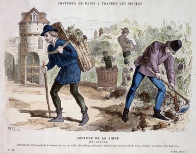 Vinodling på 1400-talet - i "" Costume de Paris genom århundradena"" av French School