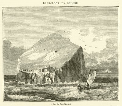 Vue de Bass-Rock (gravyr) av French School