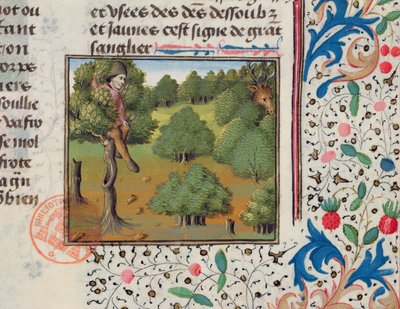 Waiting for Deer Hiding in a Tree, från Livre de la Chasse av Gaston Phebus av French School