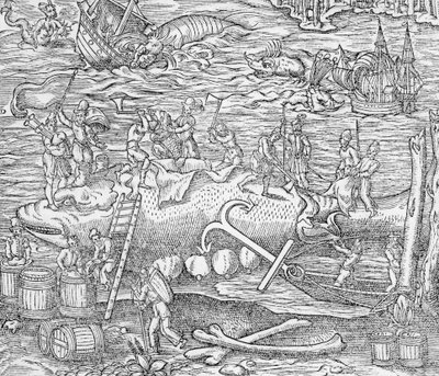 Valfiske, illustration från "Cosmographie Universelle", av Andre de Thevet av French School