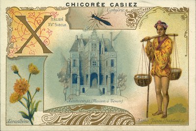 Xeranthemum, Ximo japansk, Hus a Tours och trägeting (chromolitho) av French School