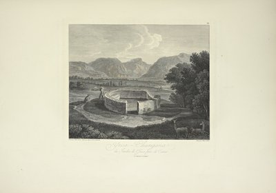 Ynca-Chungana, från Inkaträdgården nära Canar, tecknad av Gmelin, graverad av Morel, illustration från 