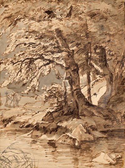trädstudie av Friedrich August Mathias Gauermann