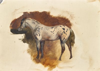 Fläckig mögel av Friedrich August Mathias Gauermann