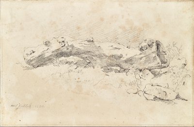 Liggande ihålig trädstam av Friedrich August Mathias Gauermann