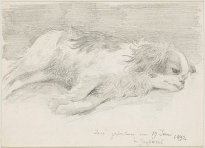 hundstudier av Friedrich August von Kaulbach