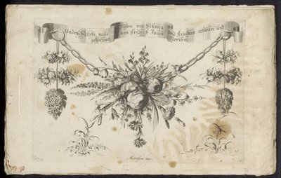 En annan ny festong av blommor och frukter av Friedrich Jacob Morisson