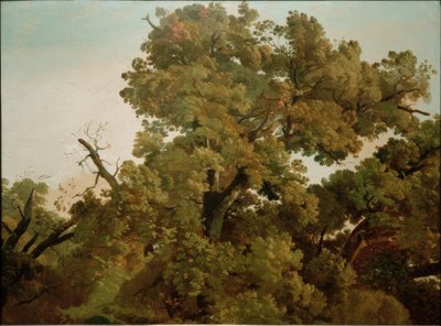 Ek av Friedrich Nerly