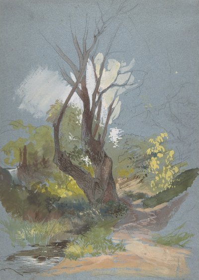 Bergsstig med ett träd, 1820-78. av Friedrich Nerly