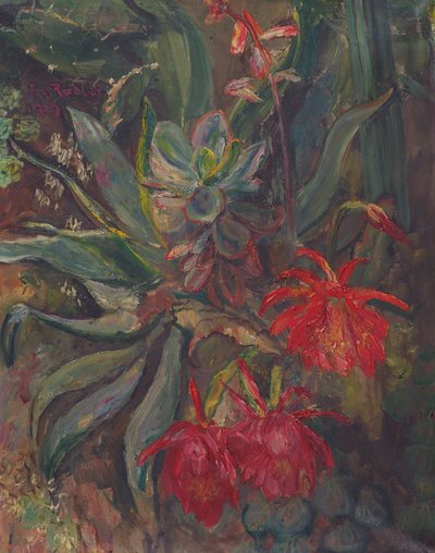 Blommande kaktusar av Friedrich Radler